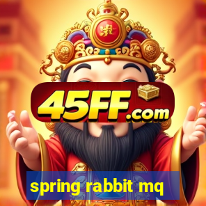 spring rabbit mq